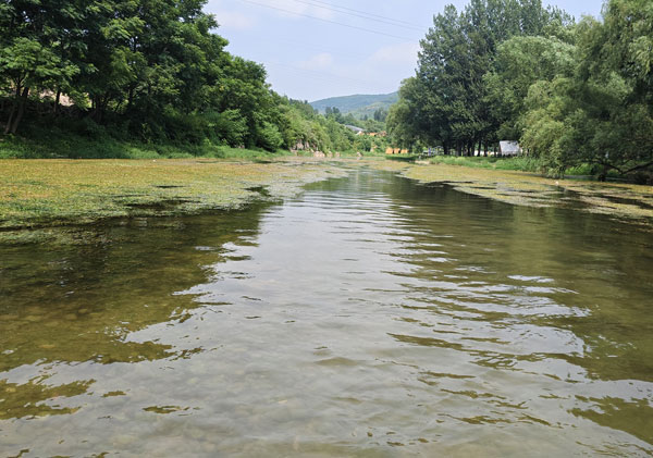 ��x��处理成工厂生产用水该用什么净化方法？